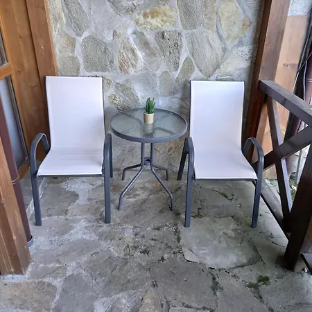 студио Snow Day в Life в *